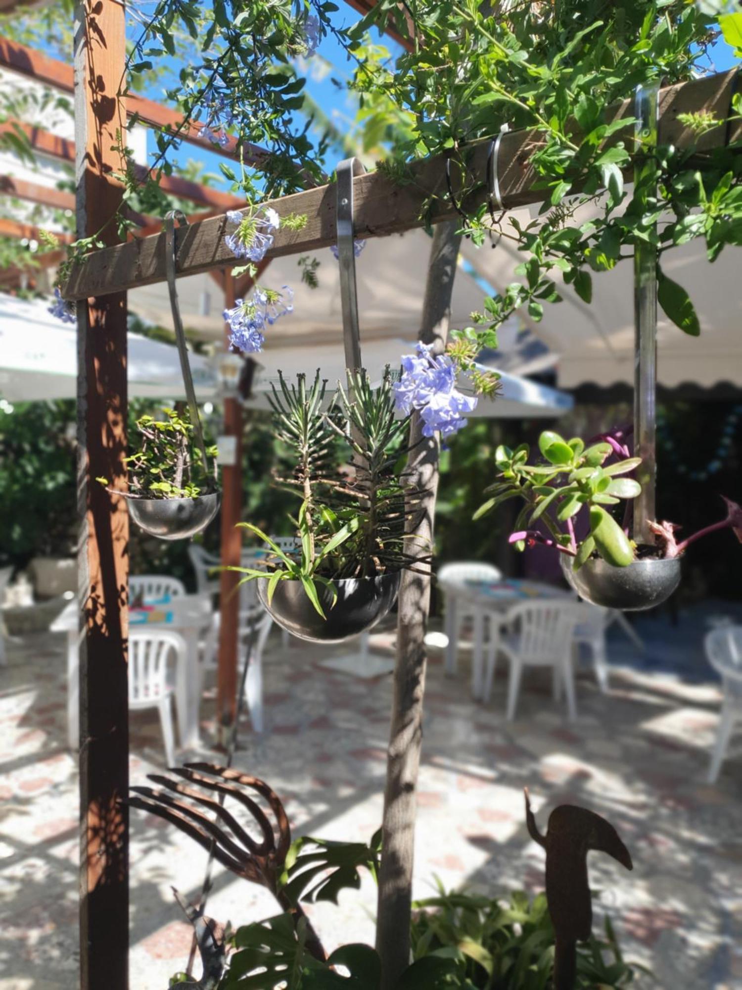 Hostal Mi Campana Dénia Exterior foto
